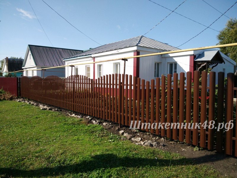 Забор для палисадника из евроштакетника