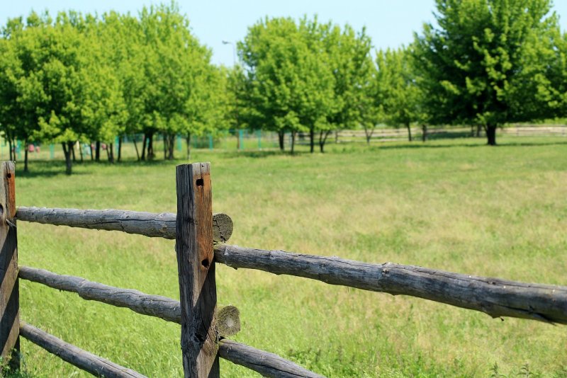 Деревенская изгородь