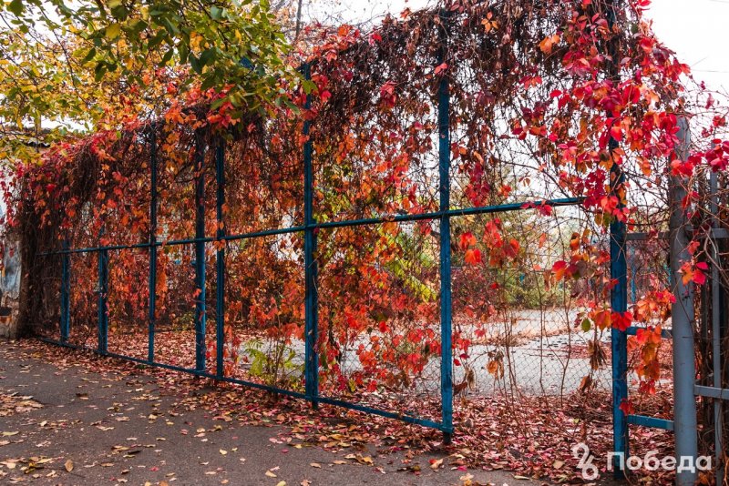 Картинки по обустройству города на забор Ставрополь