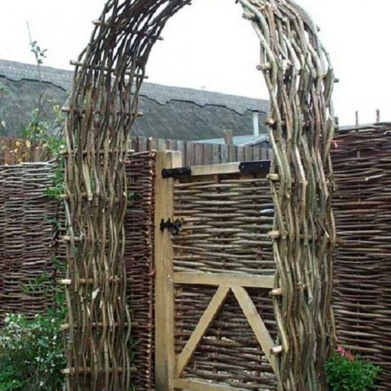 Лоза ивы плетень