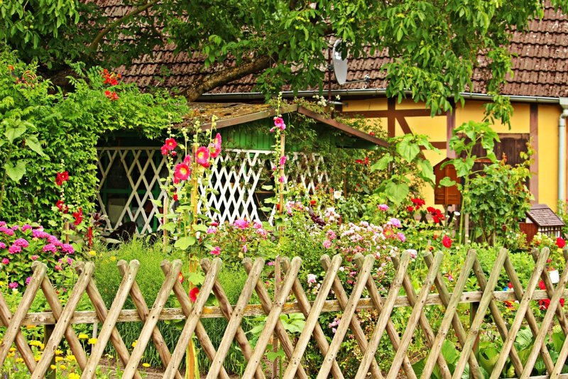 Палисадник плетень