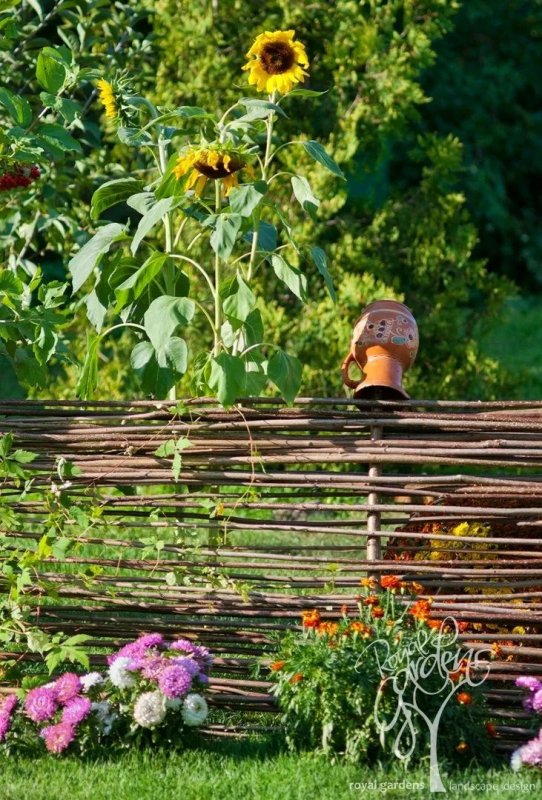 Плетень из лозы Кубань Подсолнухи