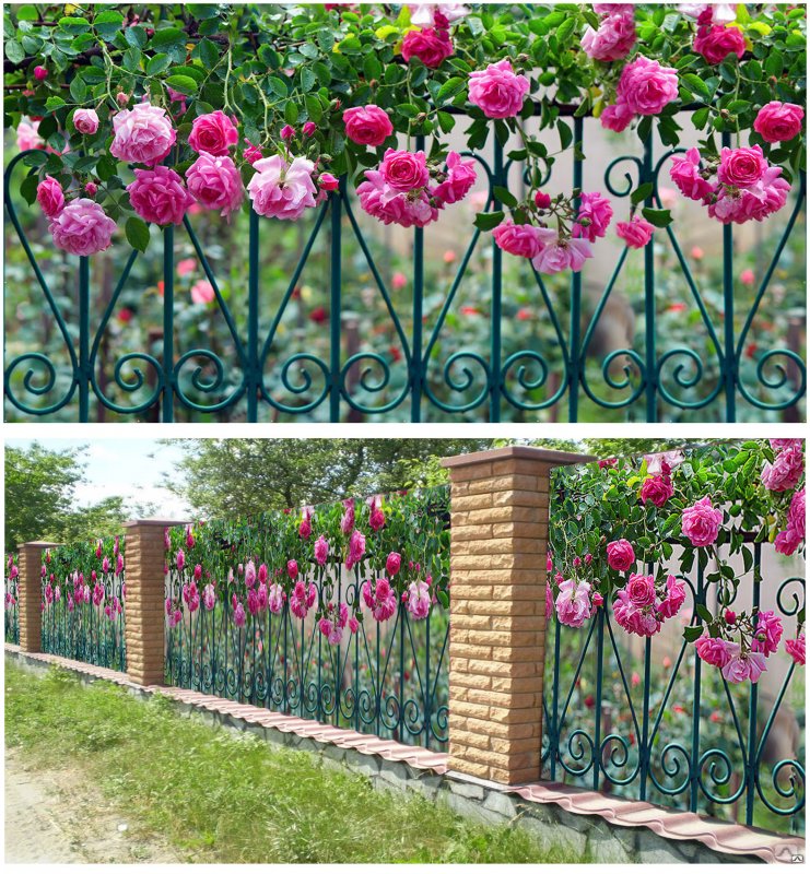 Фотосетка мечта 300x158 см, "розы на заборе"