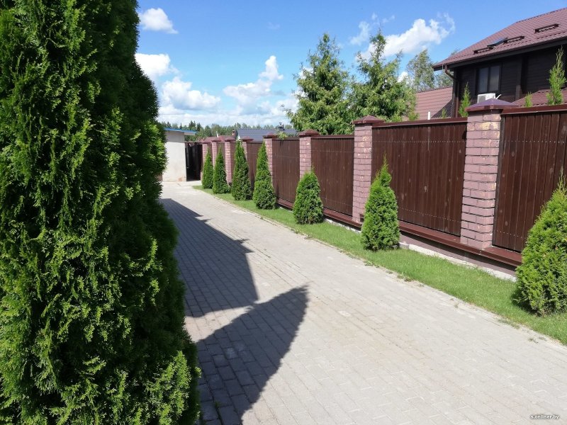 Ландшафт вдоль забора снаружи