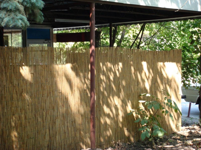 Изгородь тростник Леруа