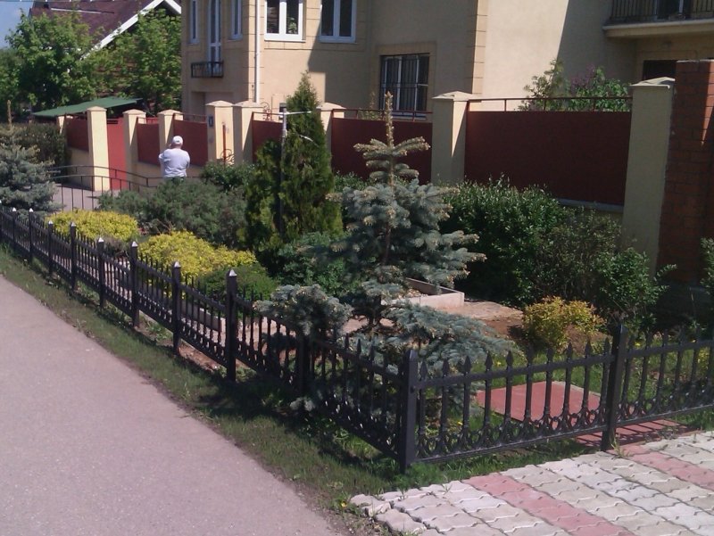 Клумба перед забором
