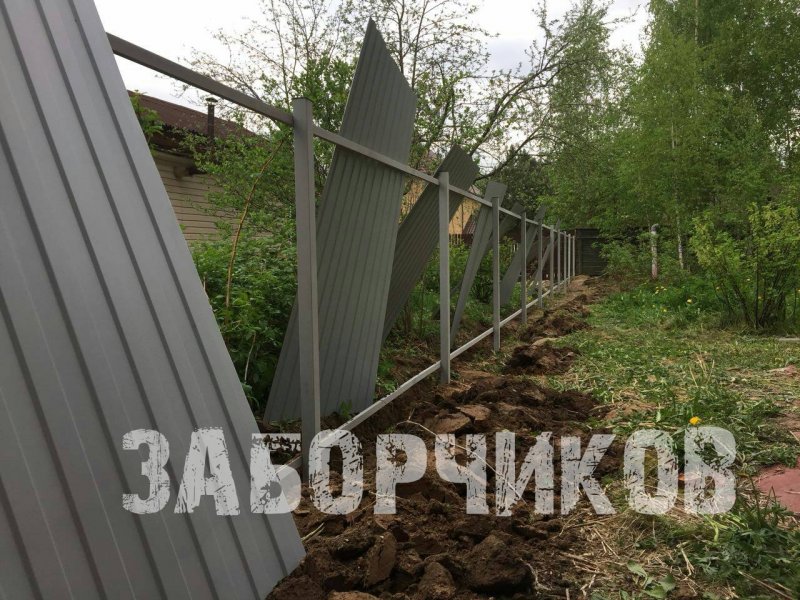 Озеленение по краю забора из профнастила