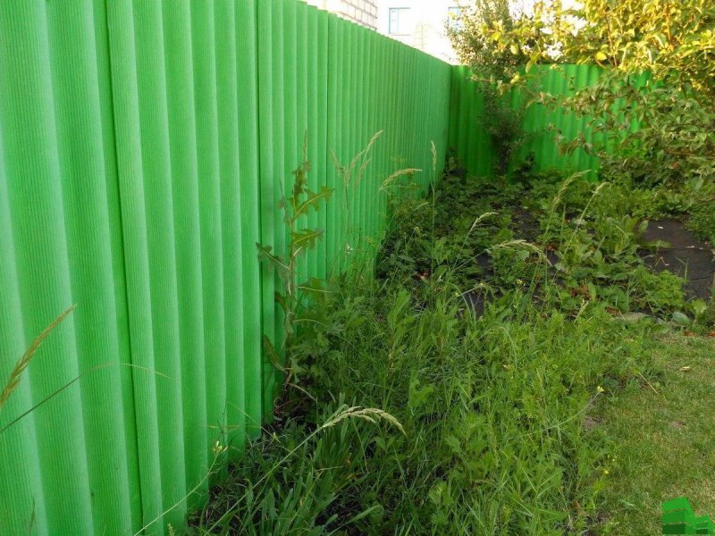Профлист мп35 ral6005