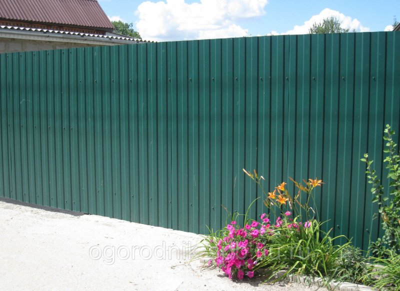 Профлист с10 RAL 7024