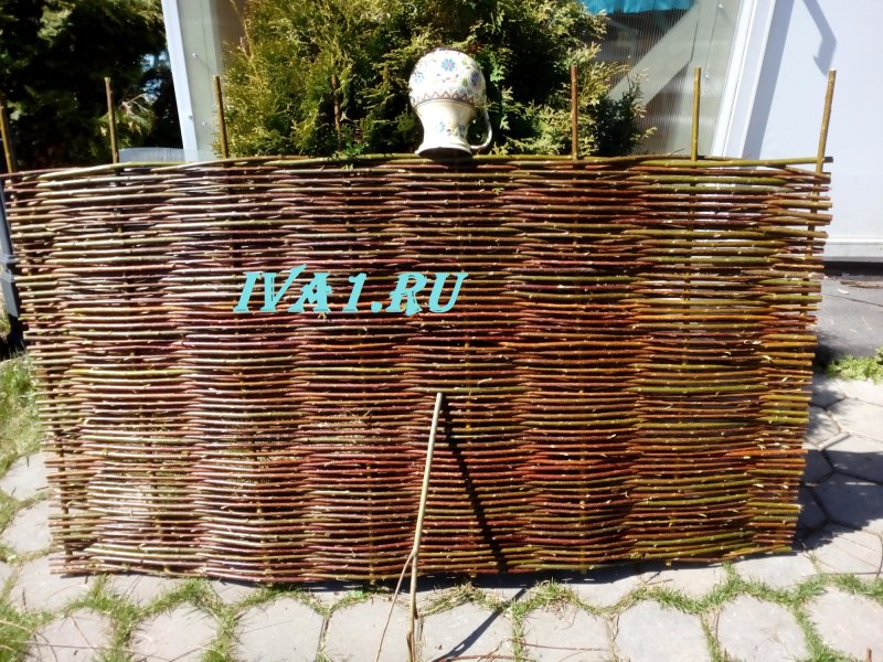 Плетеный забор