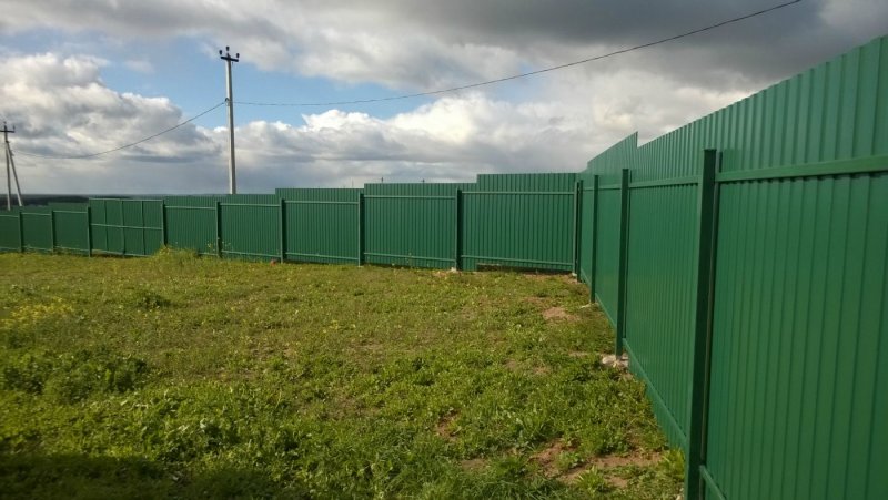 Зеленый забор из профнастила внутри участка