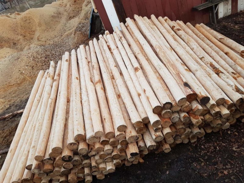 Забор из осины (42 фото)