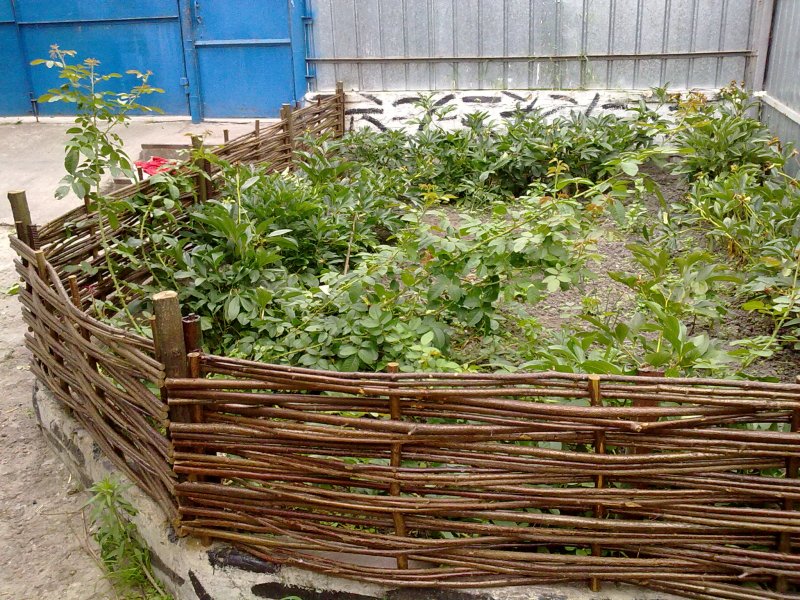 Плетеная изгородь для клумбы