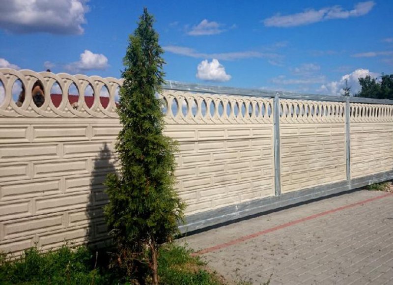 Еврозабор Тирасполь