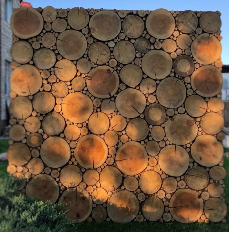 Фотозона из спилов дерева