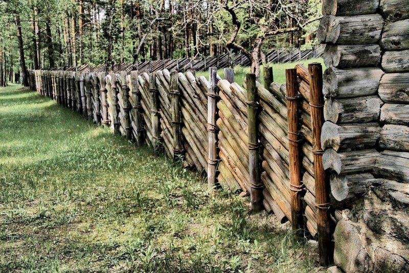 Забор из стволов деревьев