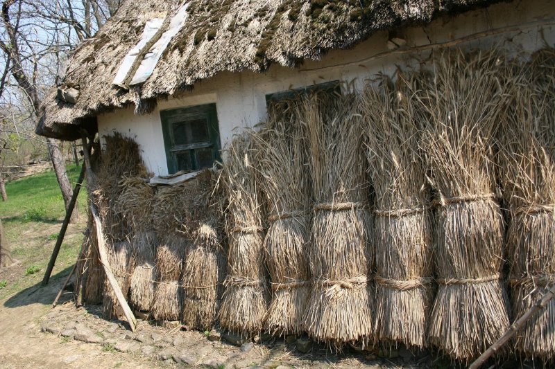 Из камыша