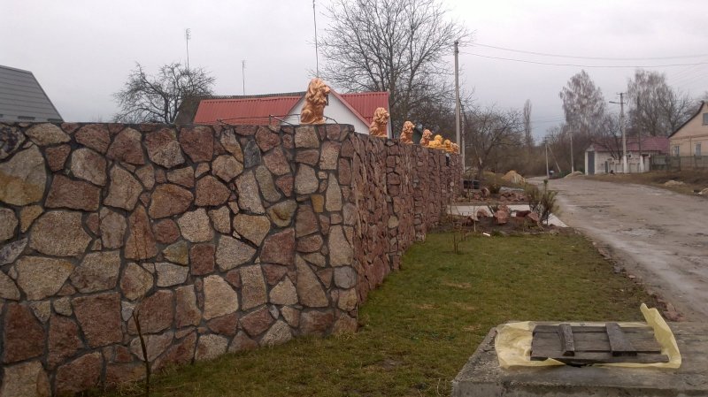 Забор из дикого Бута