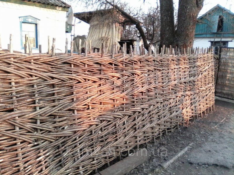 Изгородь из лозы
