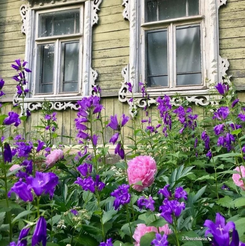 Цветы перед домом в деревне