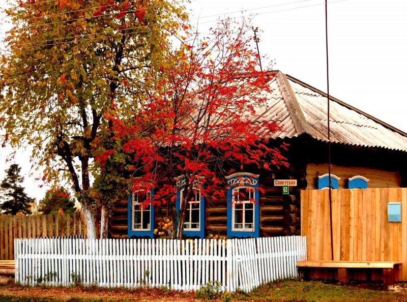 Деревенский дом с палисадником