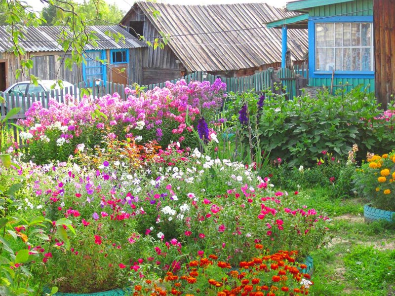 Красивый палисадник в деревне