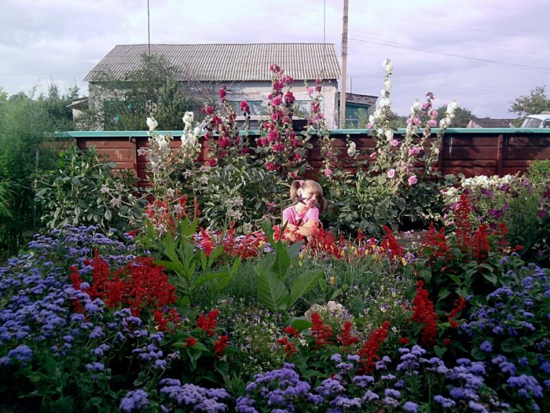 Цветник в деревне