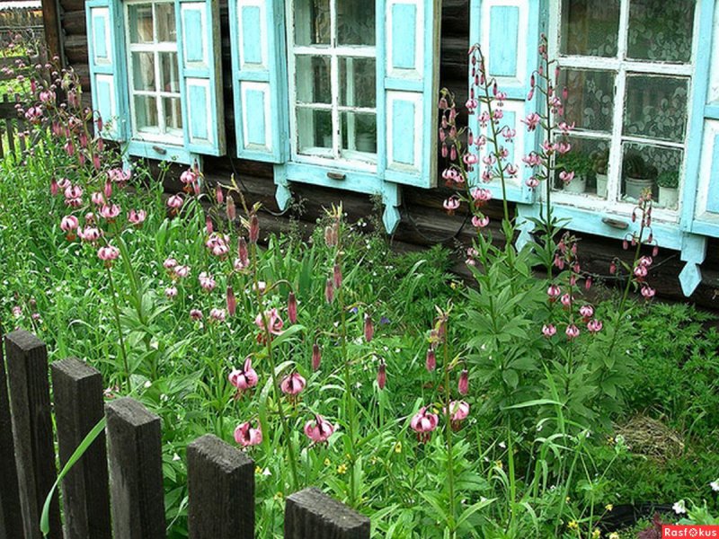 Палисадник в деревне