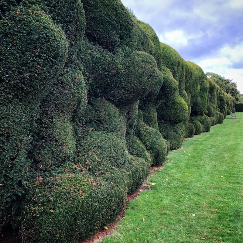 Beyond Hedge