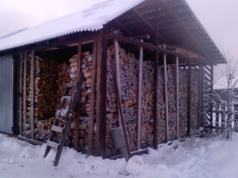 Дровяник 100