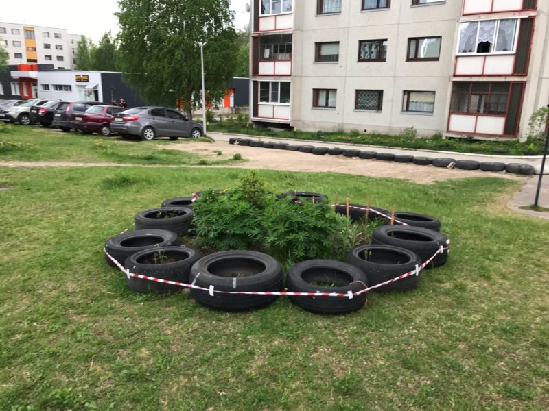 Ограждение из шин на въезде
