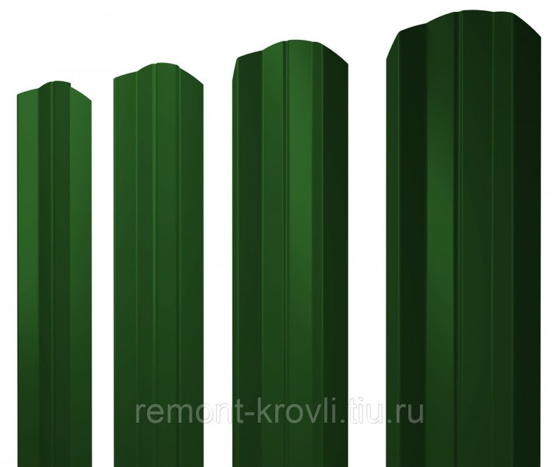 Евроштакетник RAL 6005