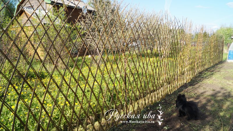 Живая изгородь из прутьев