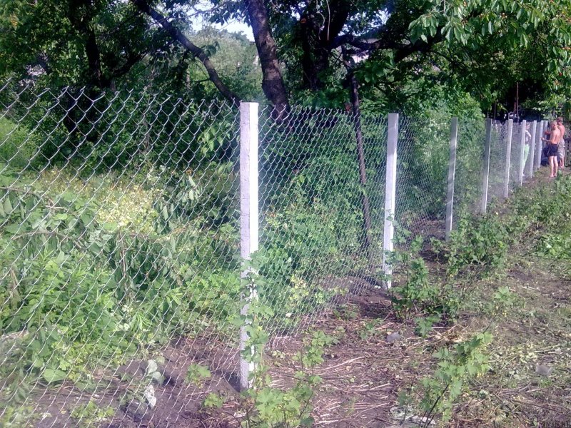 Забор из сетки рабицы и виноградных столбов