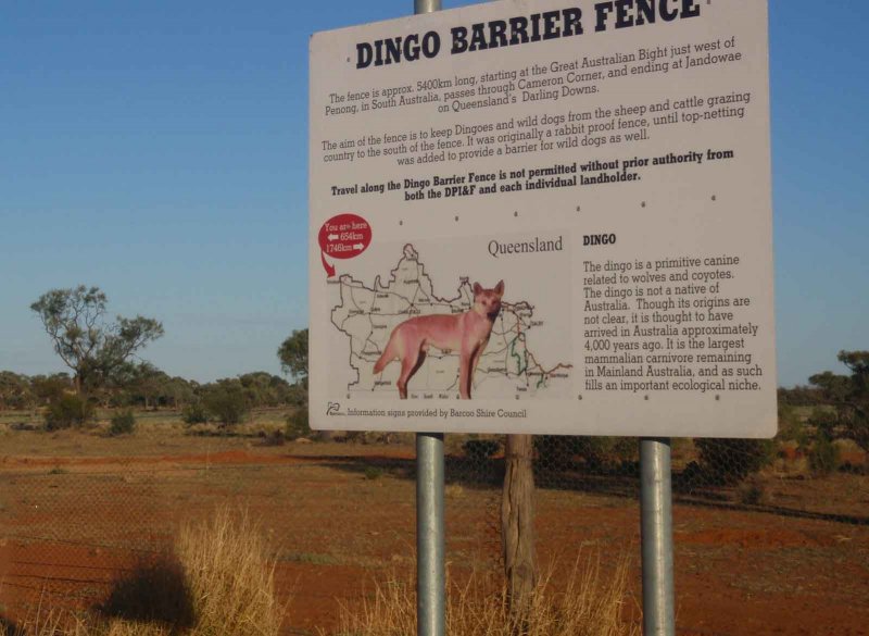 Dingo Barrier Fence Australia