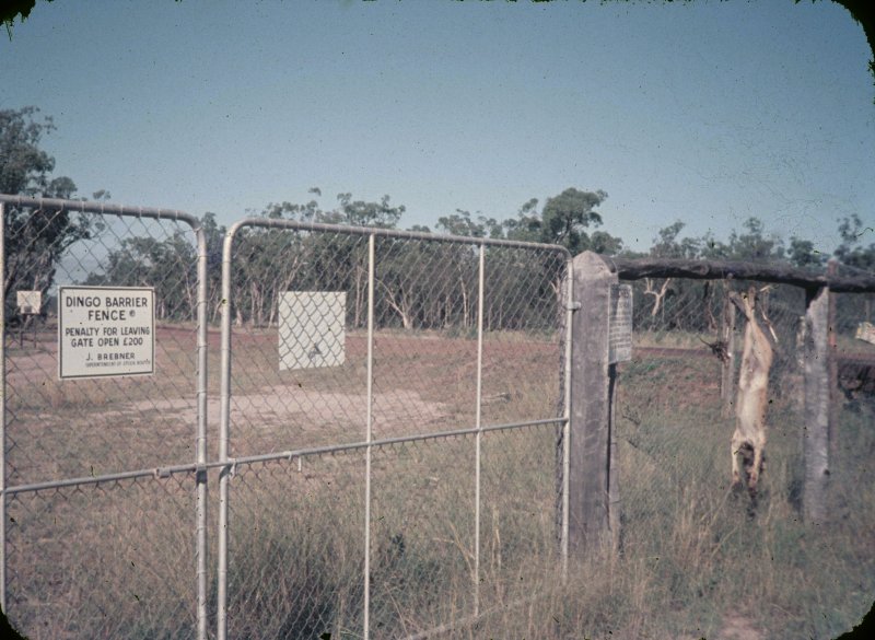Dingo Barrier Fence Australia