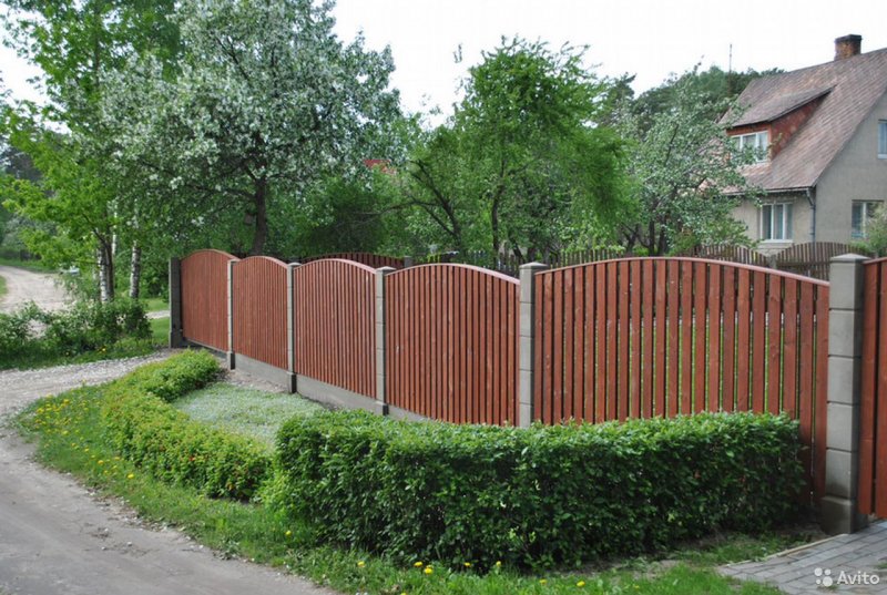 Деревья комбинированные по периметру забора