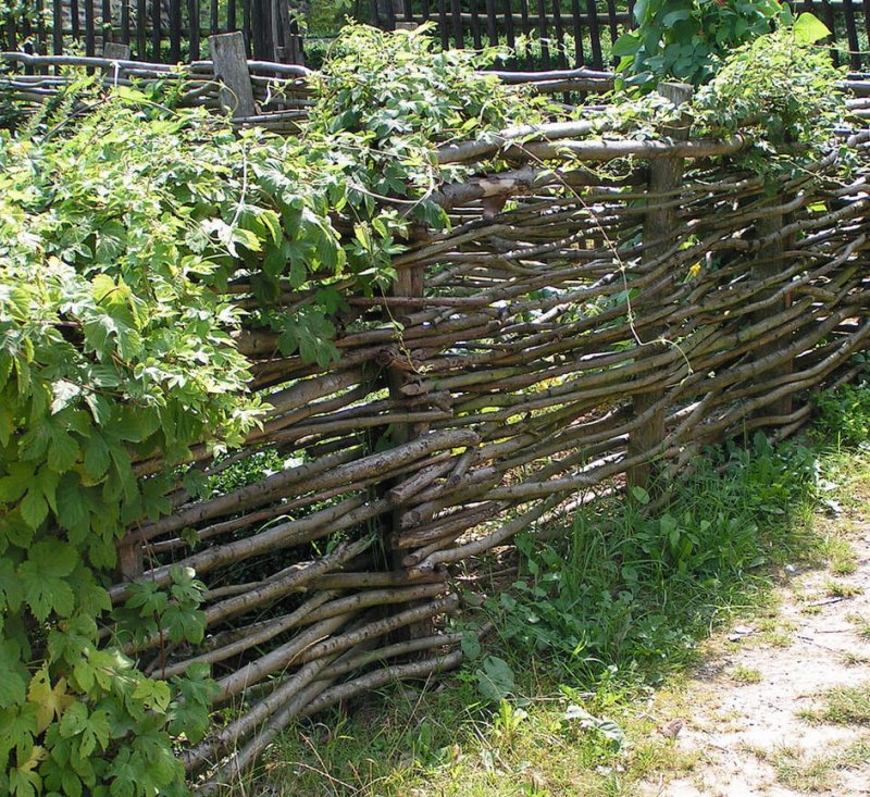 Забор для аппликация из веточек