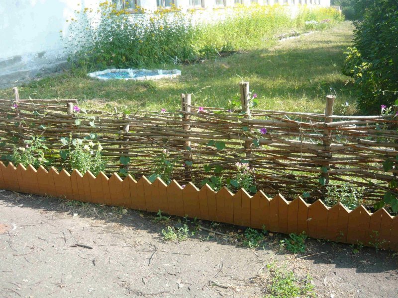 Плетень из березы