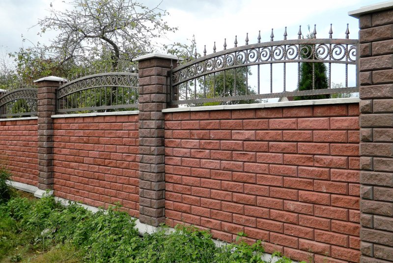 Забор БРИКС