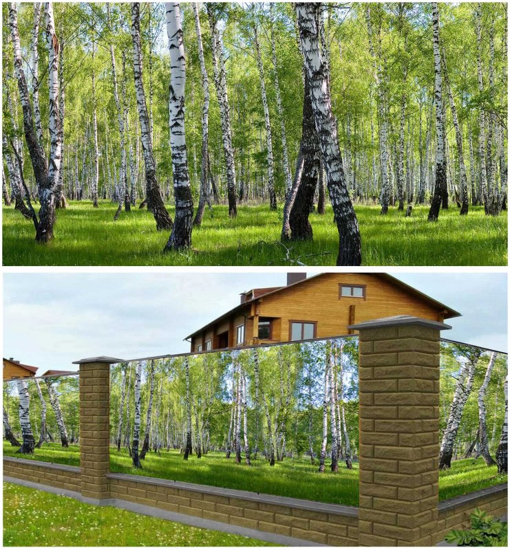 Фотосетка для беседки