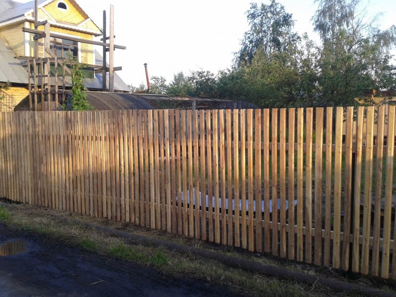 Штакетник из березовых карандашей