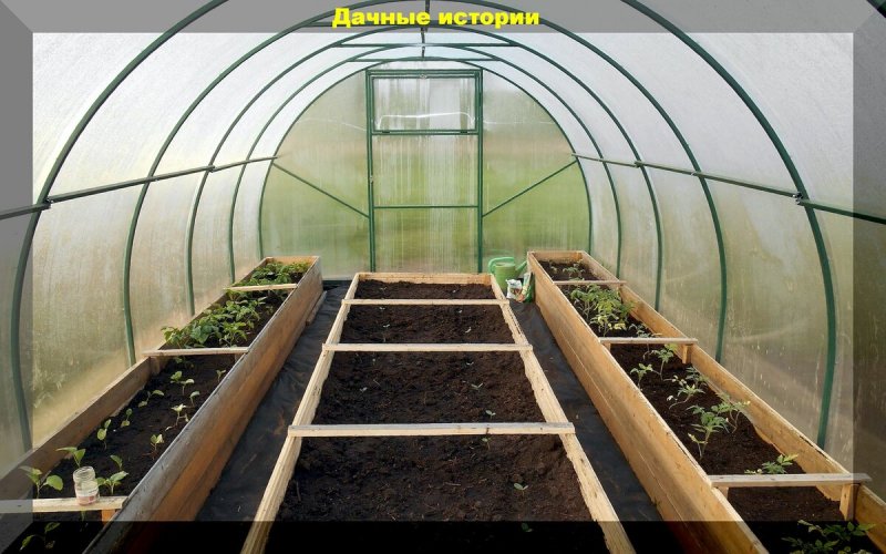 Парник внутри теплицы