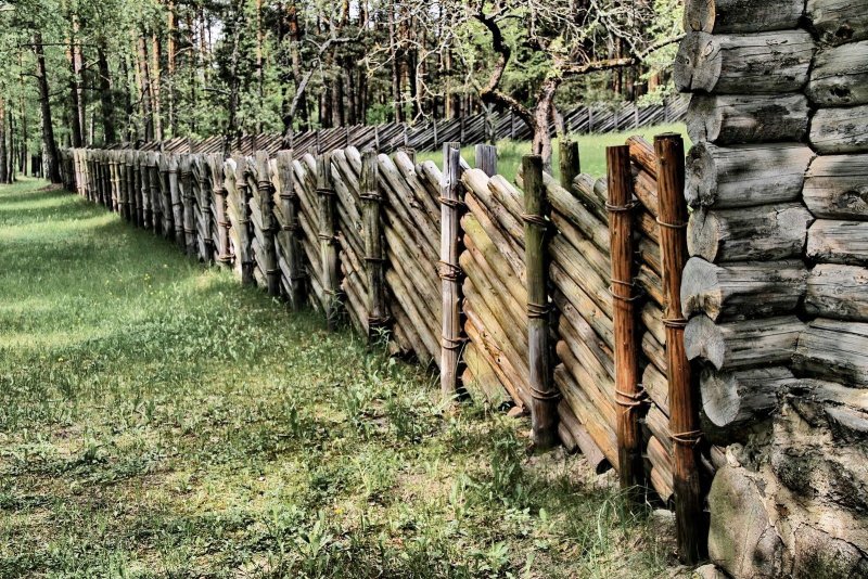Забор из стволов деревьев