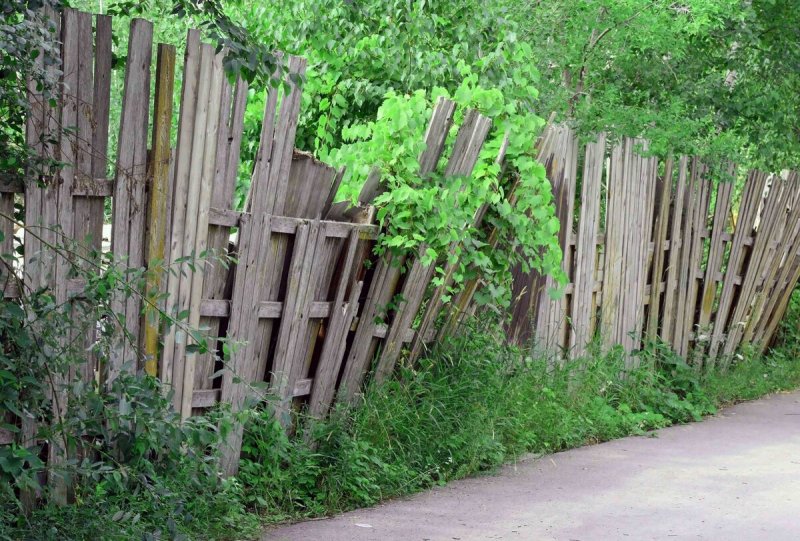 Старый перекошенный забор