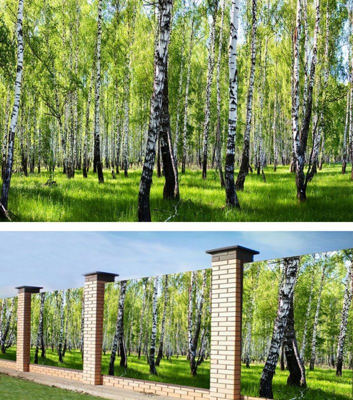 Фотосетка для декора заборов
