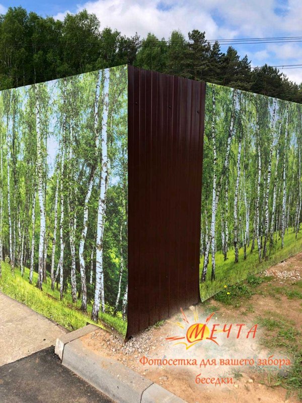 Фотосетка "рада" для декора забора "листья" 158х300