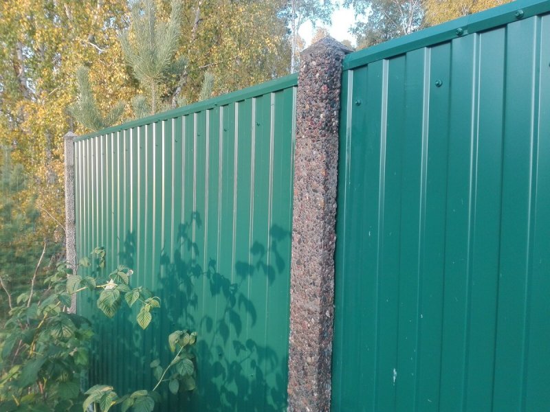 Грядка у забора из профлиста