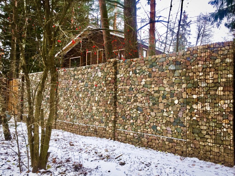 Габионы и лоза