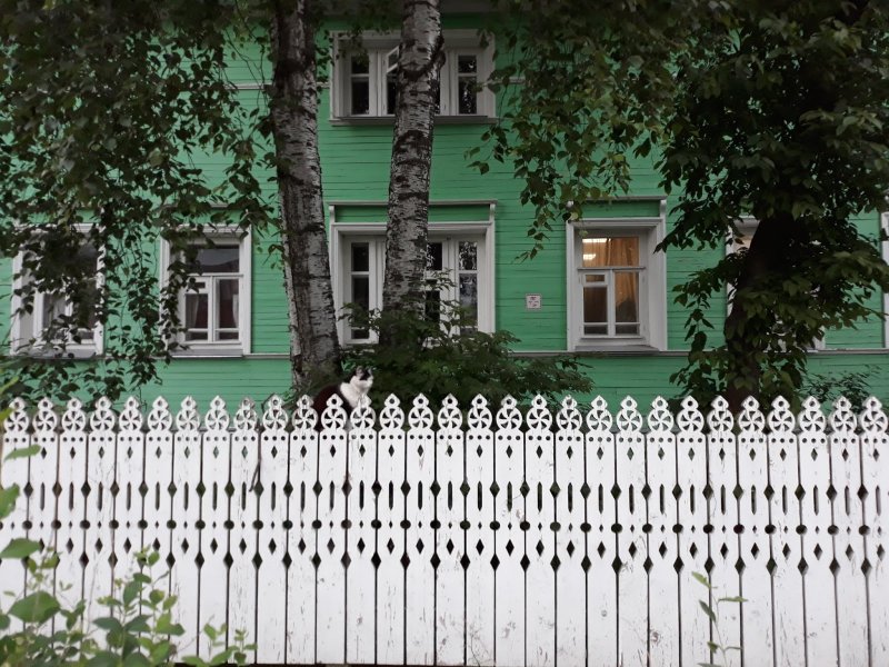 Резной Палисад на прозрачном фоне